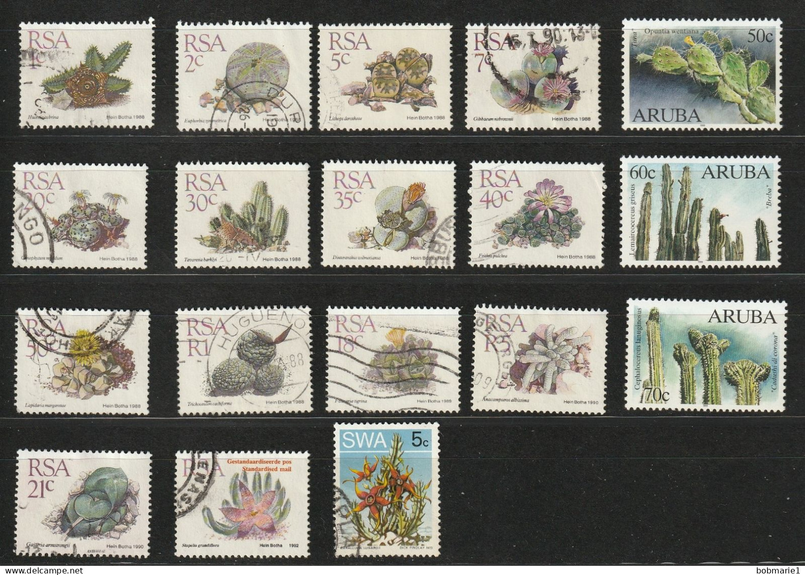 Lot De 15 Timbres Sur Les Cactus, Aruba (Neufs**) Et ( Afrique Du Sud (Oblitérés) - Antilles