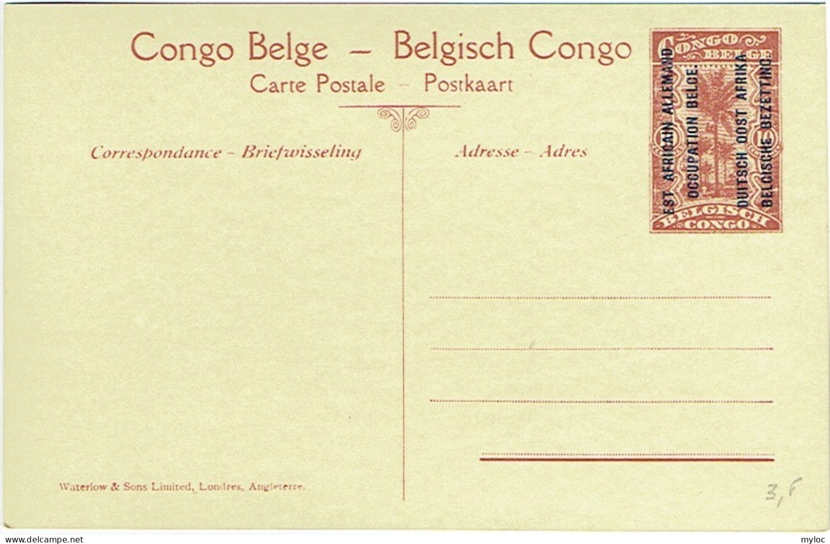 Est Africain Allemand (Occupation Belge).  Colonne En Marche Dans Le Ruanda. - Congo Belge