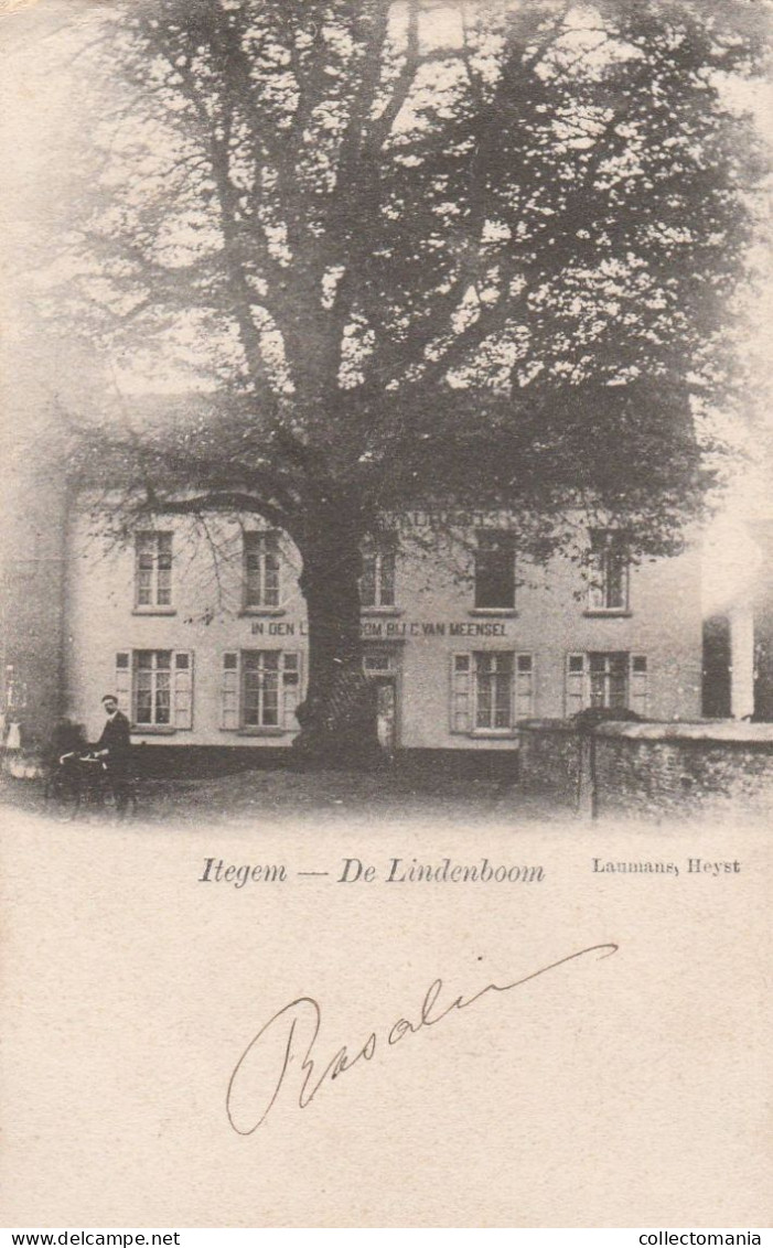 1 Oude Postkaart  Itegem De Lindenboom  1908 - Heist-op-den-Berg