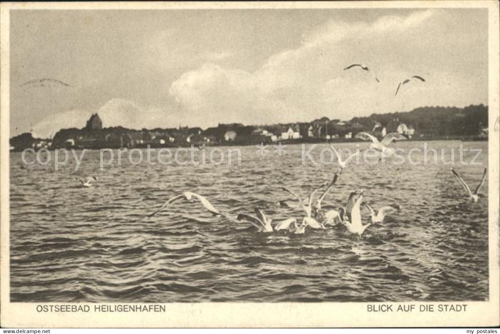 42087945 Heiligenhafen Ostseebad Blick Auf Die Stadt Moewen Heiligenhafen - Heiligenhafen