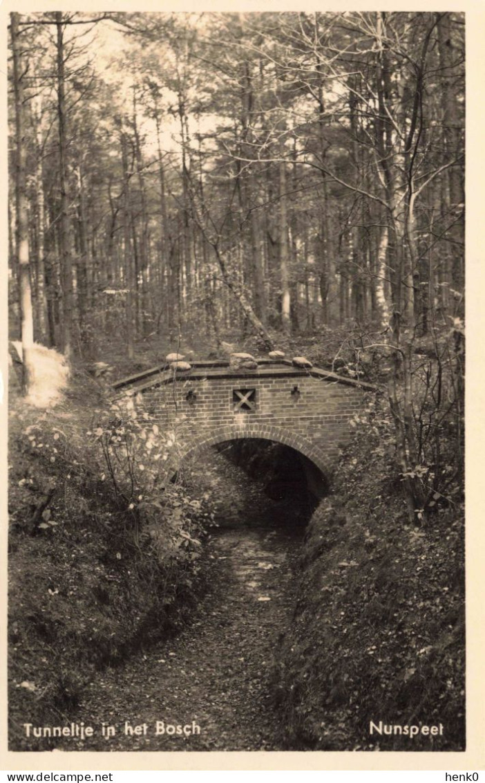 Nunspeet Tunneltje In Het Bosch K6667 - Nunspeet