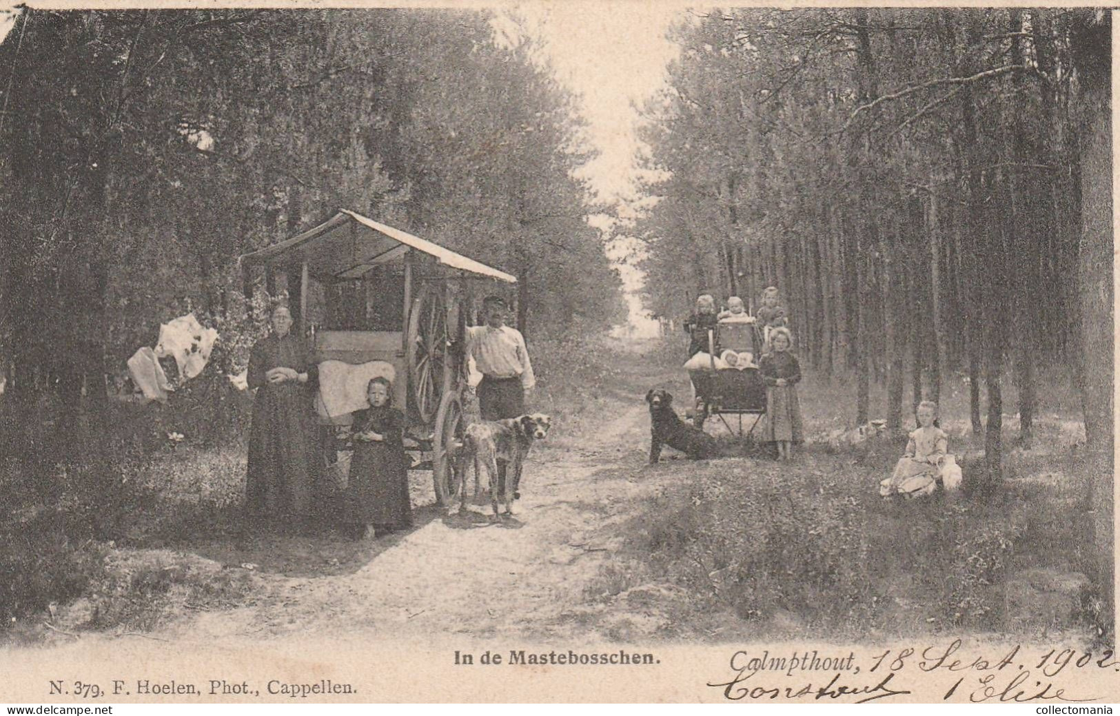 3 Oude Postkaarten   Calmpthout Kalmthout  In De Mastebosschen 1902 Oude Kapel 1902 Op De Bessemhei 1903   Hoelen - Kalmthout