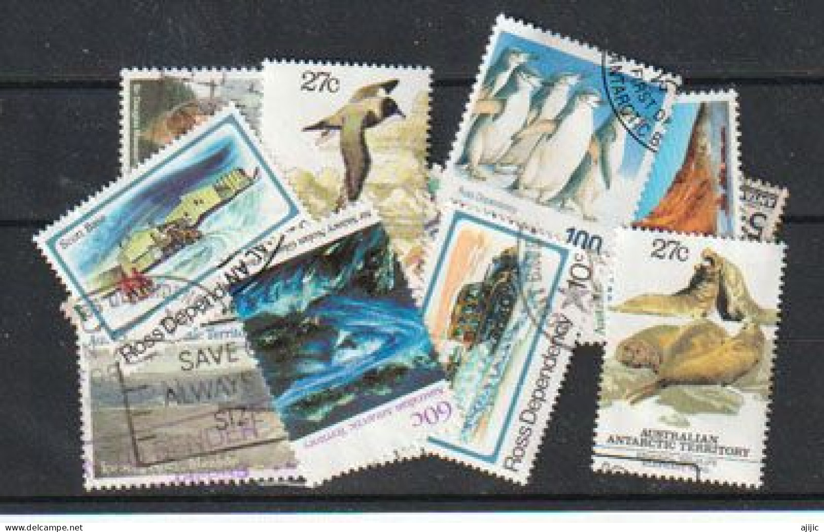 ANTARCTIC TERRITORIES. NEW-ZEALAND ROSS & AUSTRALIA ANTARCTIC TERRITORIES. Lot De 15 T-p Oblitérés # 6 - Mezclas (max 999 Sellos)