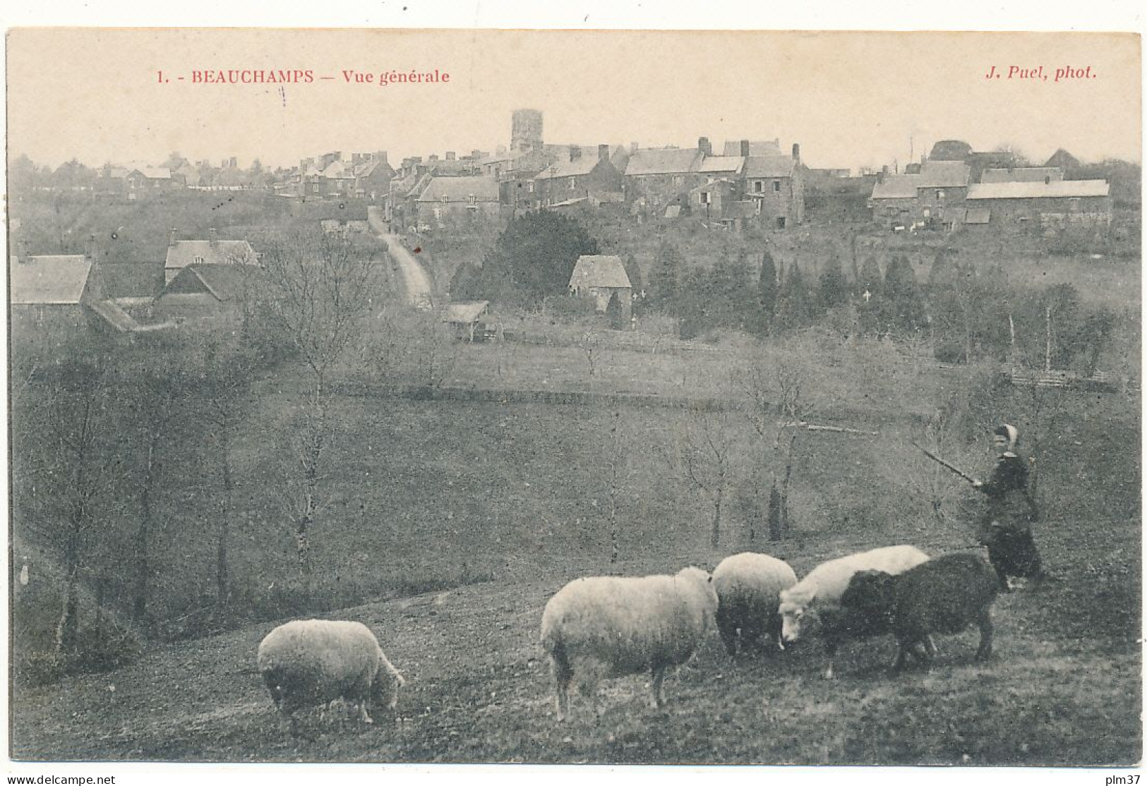 BEAUCHAMPS - Vue Générale - Beauchamp