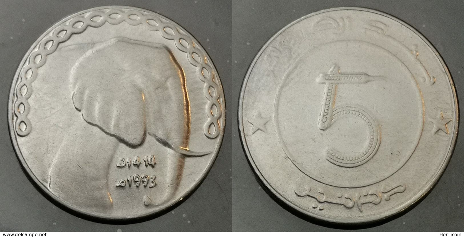 Monnaie Algérie - 1993 - 5 Dinars - Algérie