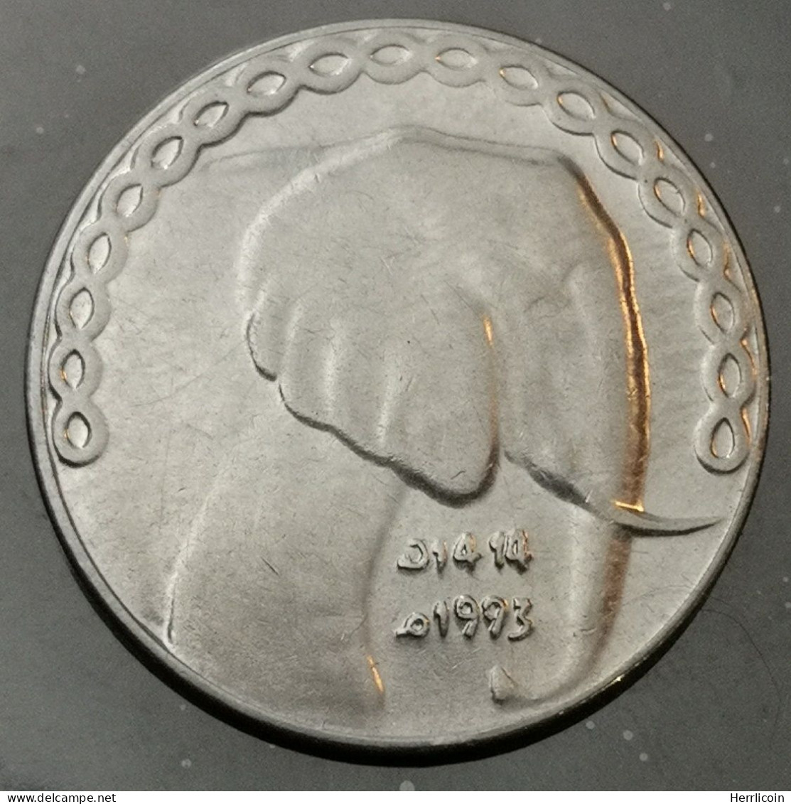 Monnaie Algérie - 1993 - 5 Dinars - Algérie