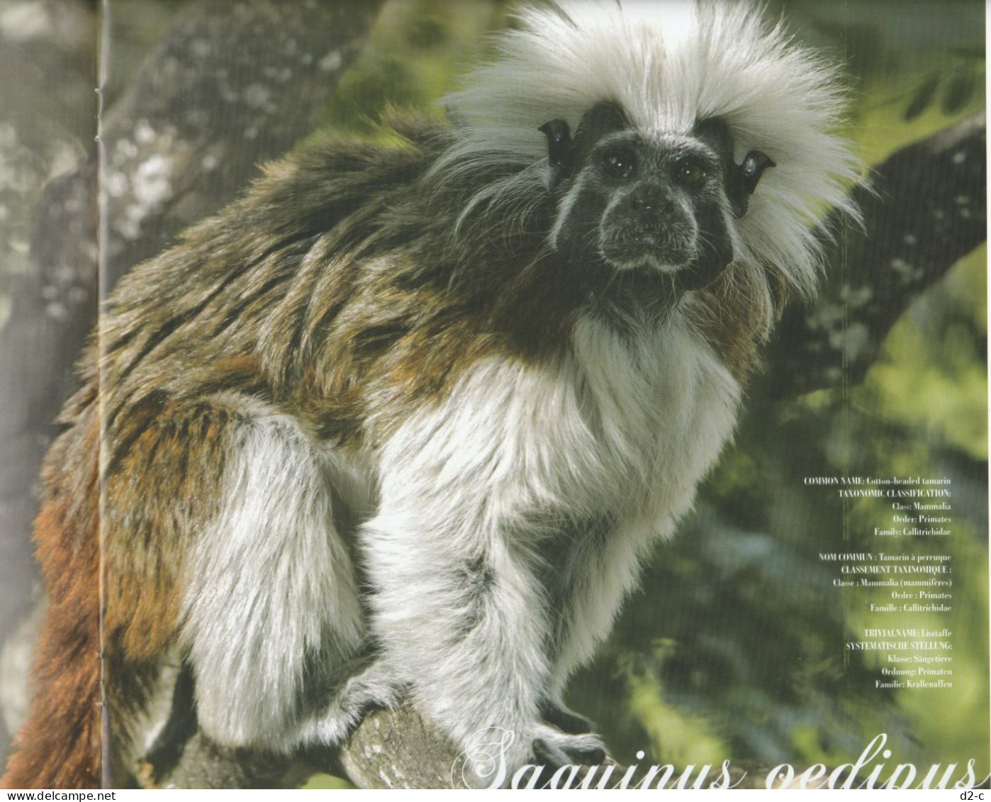 2012 United Nation - Presentation Pack: Endangered Species - Sammlungen (im Alben)