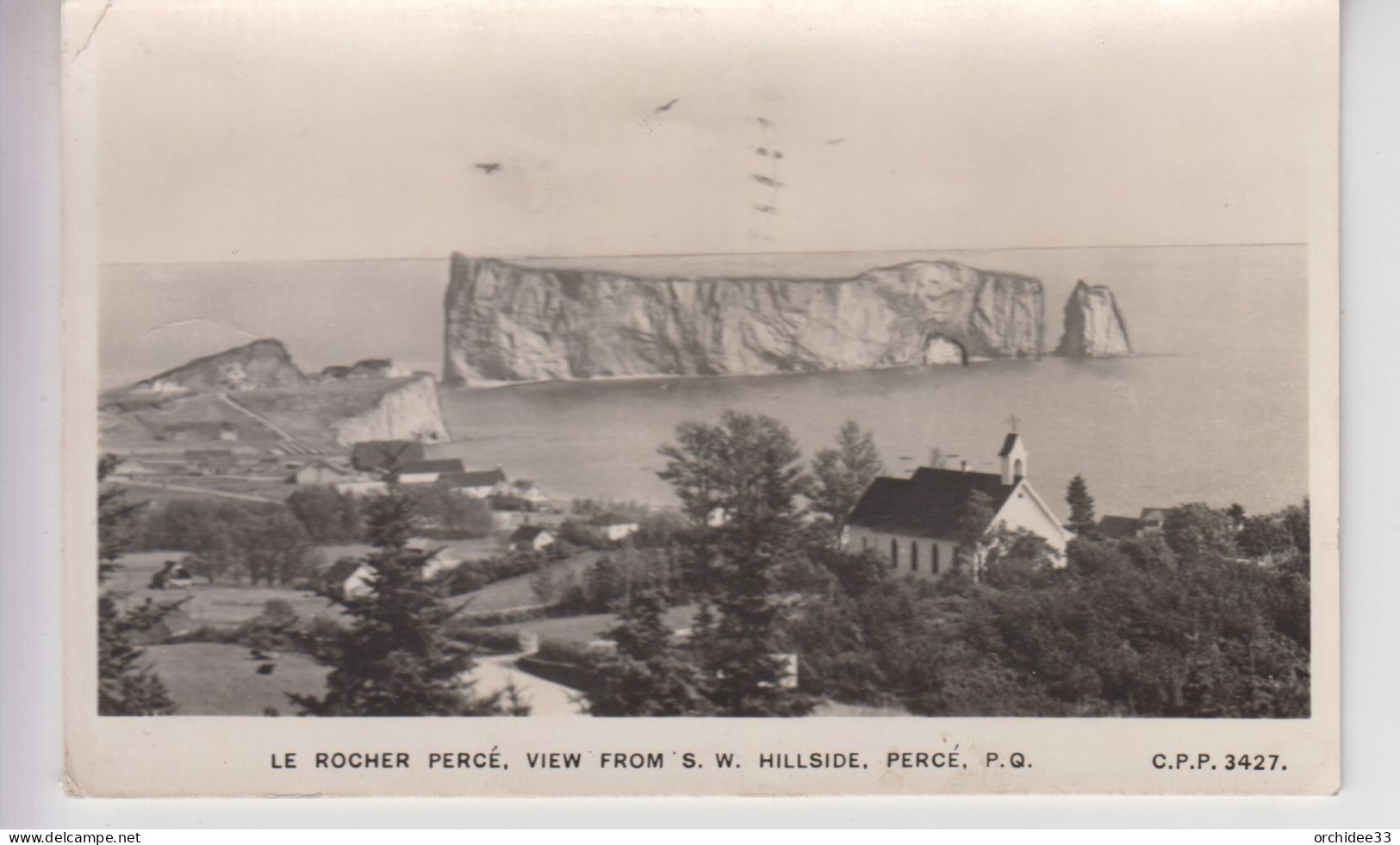 CPSM Canada - Percé - Le Rocher Percé - View From S. W. Hillside - Percé