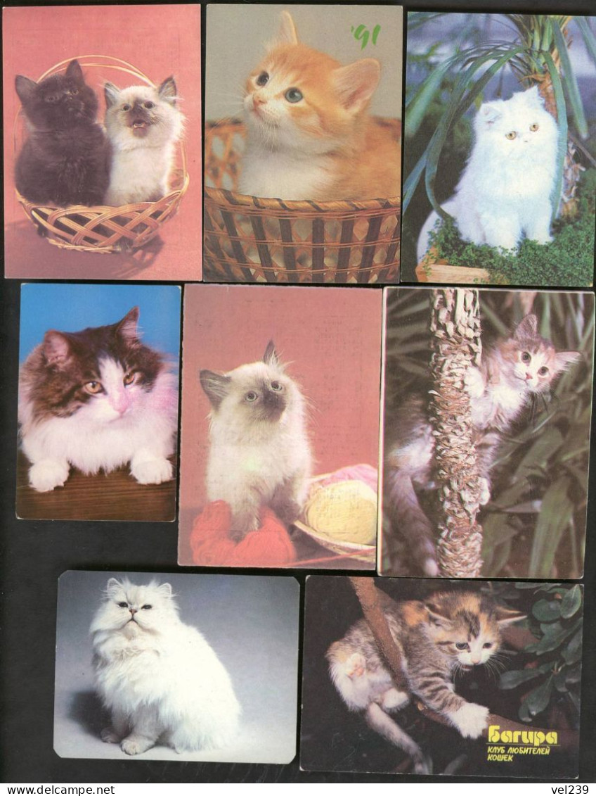 USSR. 1982 - 1991. Cat. Chat - Petit Format : 1981-90