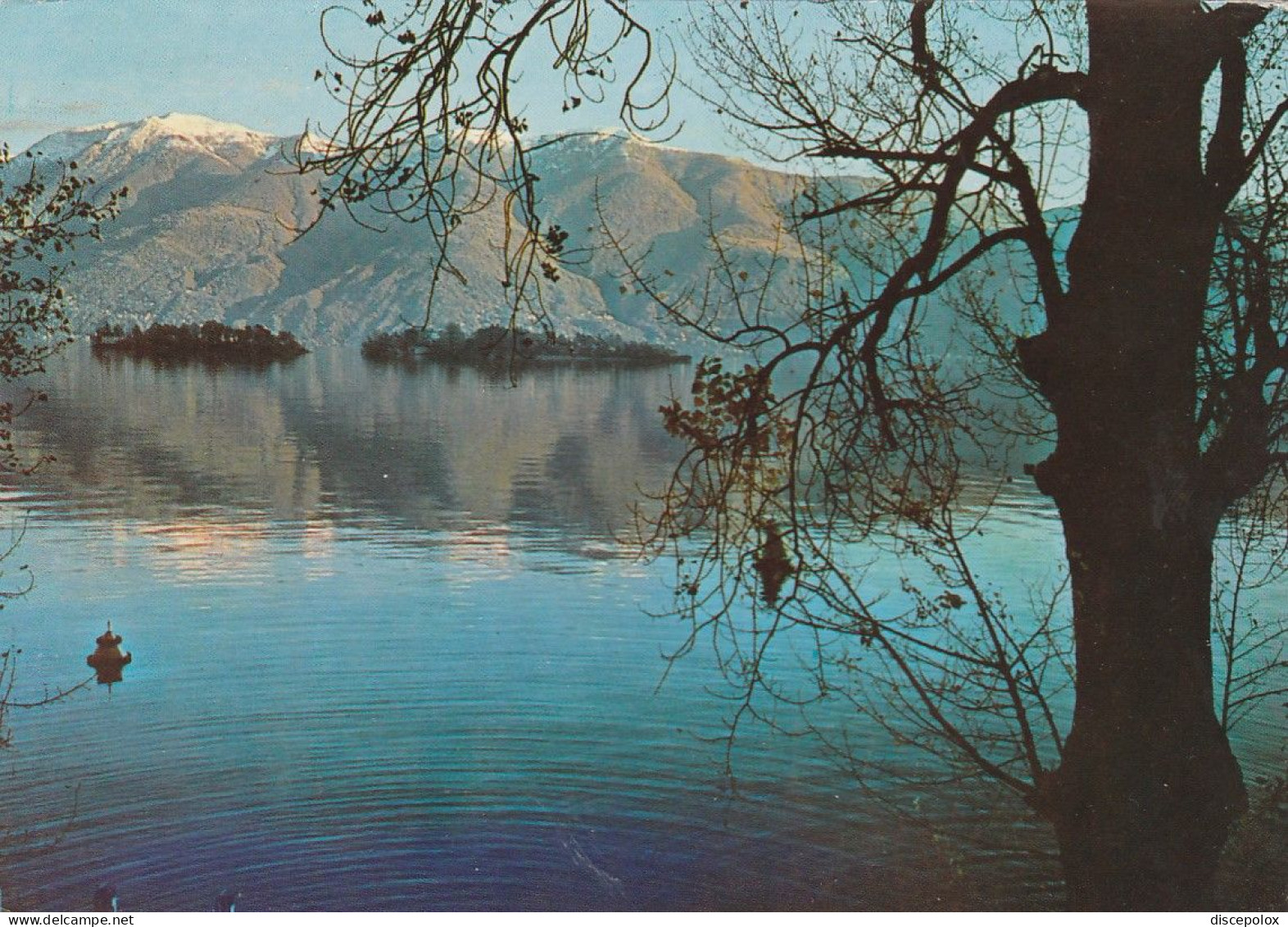 U4873 Locarno - Lago Maggiore - Le Isole Di Brissago - Panorama / Viaggiata 1978 - Brissago