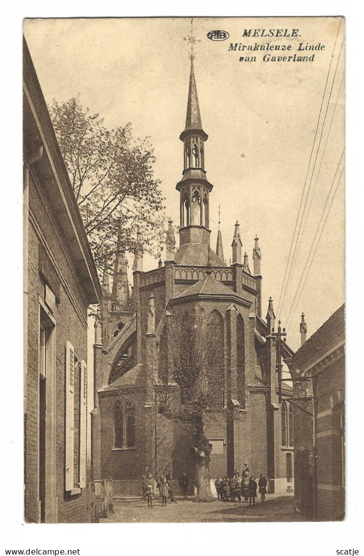 Melsele   -   Mirakuleuze Linde Van Gaverland.   -   1923   Naar   St. Nicolaas - Beveren-Waas