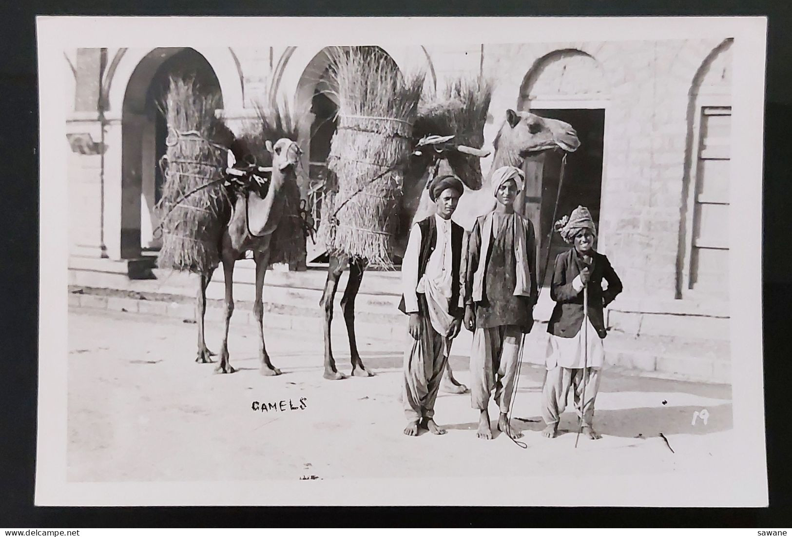 PAKISTAN , CAMELS , MARCHANDS ,  CARTE PHOTO , P4 - Pakistan