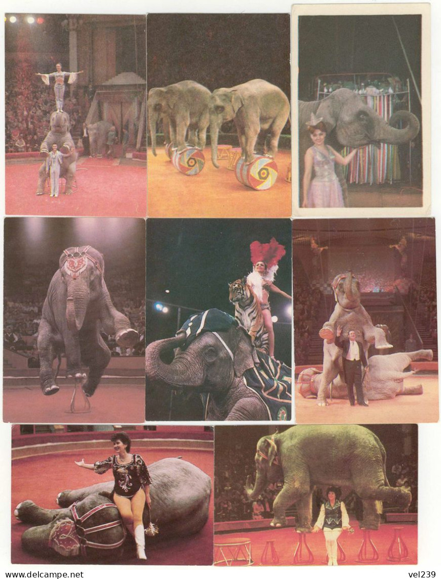 USSR. 1971 - 1988. Elephant, éléphant - Petit Format : 1981-90