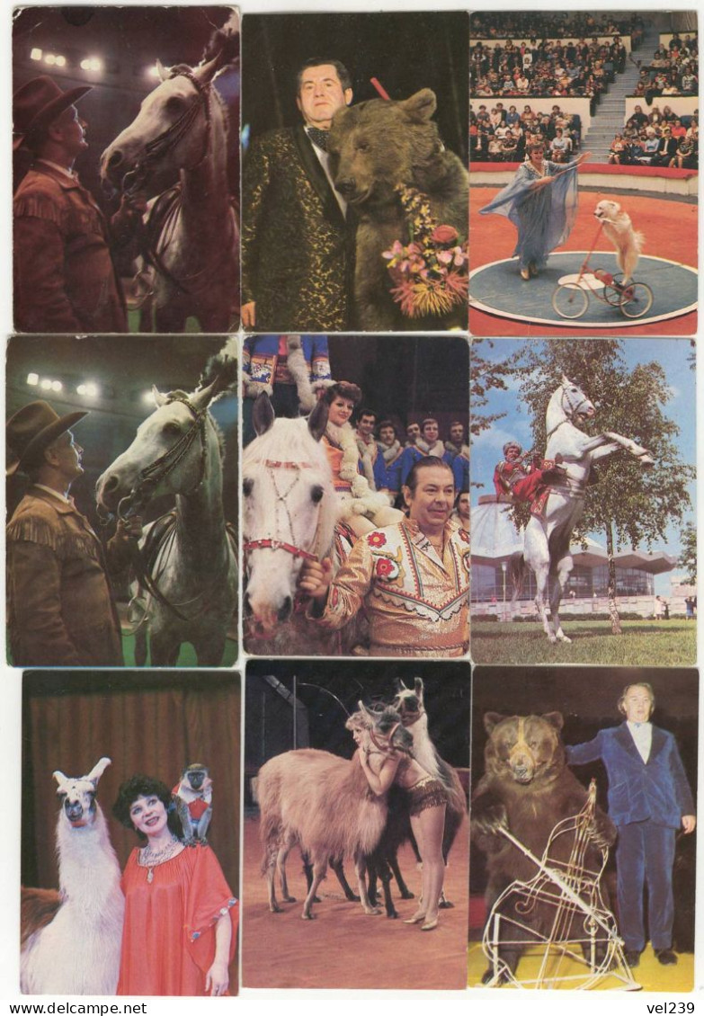 USSR. 1983 - 1986. Cirque. Circus. Animals. Horse. Dog. Bear - Petit Format : 1981-90