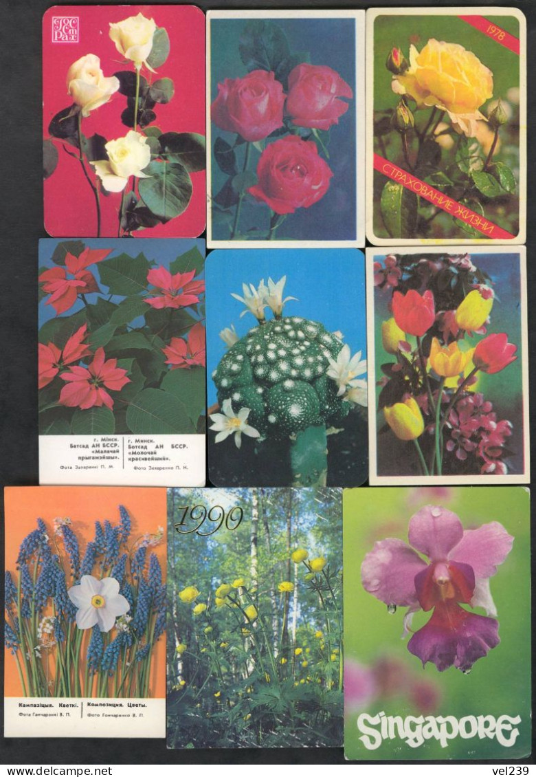 USSR. Singapour. 1978 - 1990. Flower. Fleur - Petit Format : 1981-90