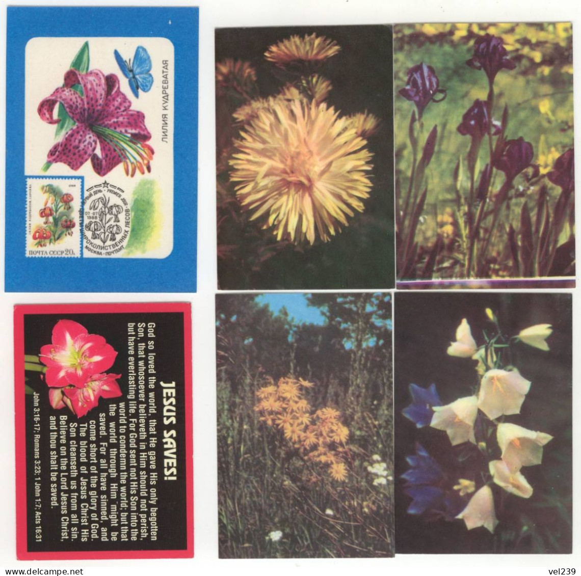 USSR. 1989. Flower. Fleur. Plant - Petit Format : 1981-90