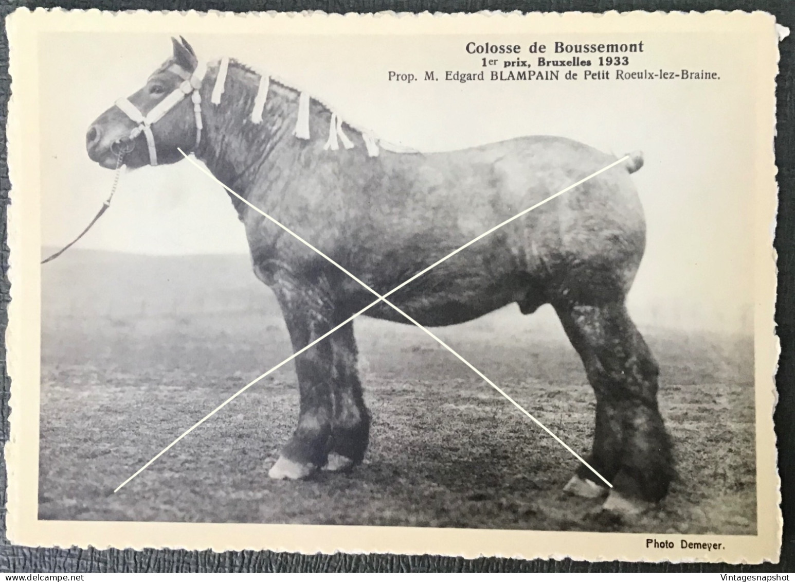 PETIT-ROEULX-LEZ-BRAINE Cheval Colosse De Boussemont 1er Prix 1935 Propr. E Blampain CP édit. Le Sillon Belge La Hulpe - Braine-le-Comte