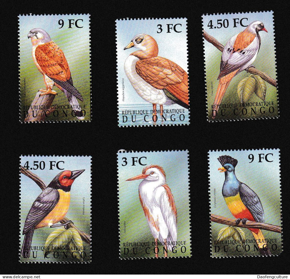 Congo 2000 Birds - Altri & Non Classificati