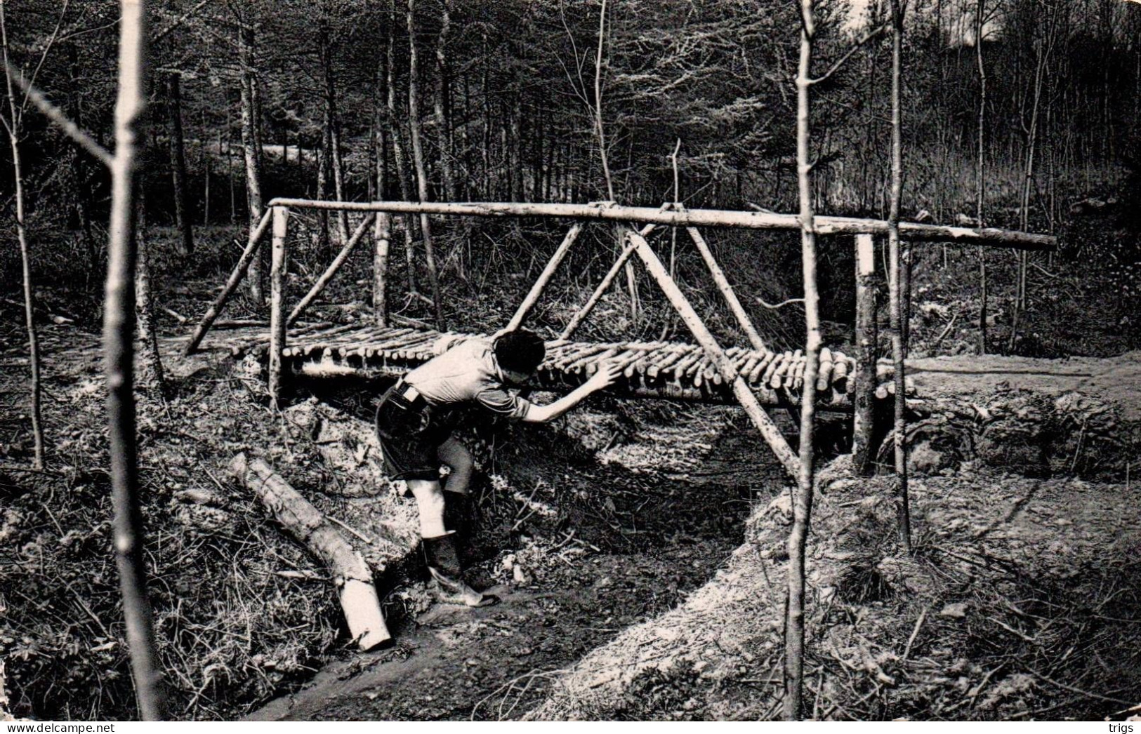 Heer Sur Meuse (Mutualistisch Vacantiecentrum Der Ardennen) - Een Brugje In Het Woud Van Het Domein - Hastière