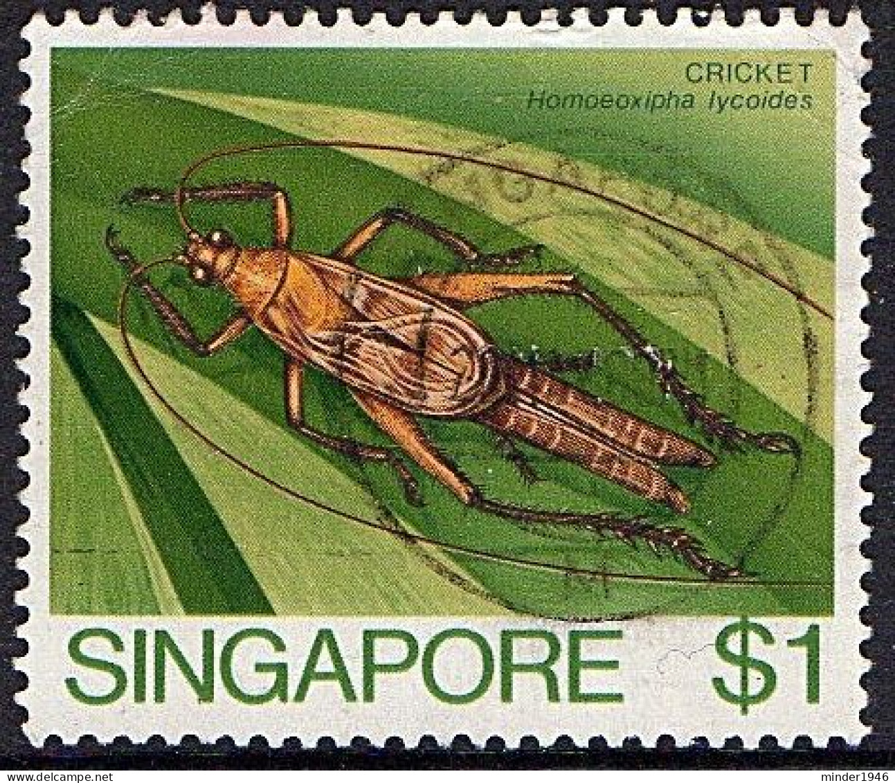 SINGAPORE 1985 QEII $1 Multicoloured, 'Insects-Cricket' SG499 FU - Singapur (...-1959)