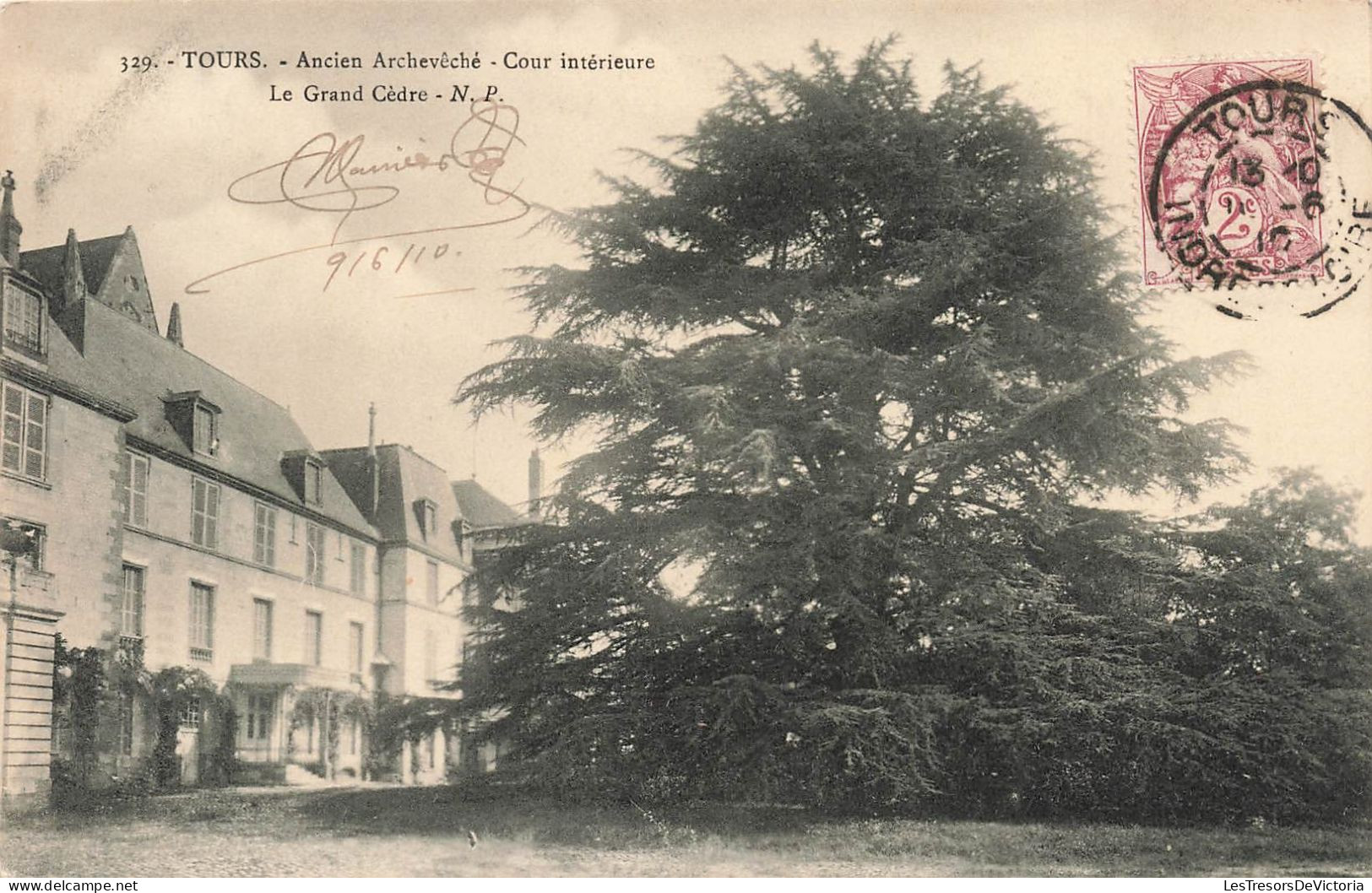 FRANCE - Tours - Ancienne Archevêché - Cour Intérieure - Le Grand Cèdre - Carte Postale Ancienne - Tours