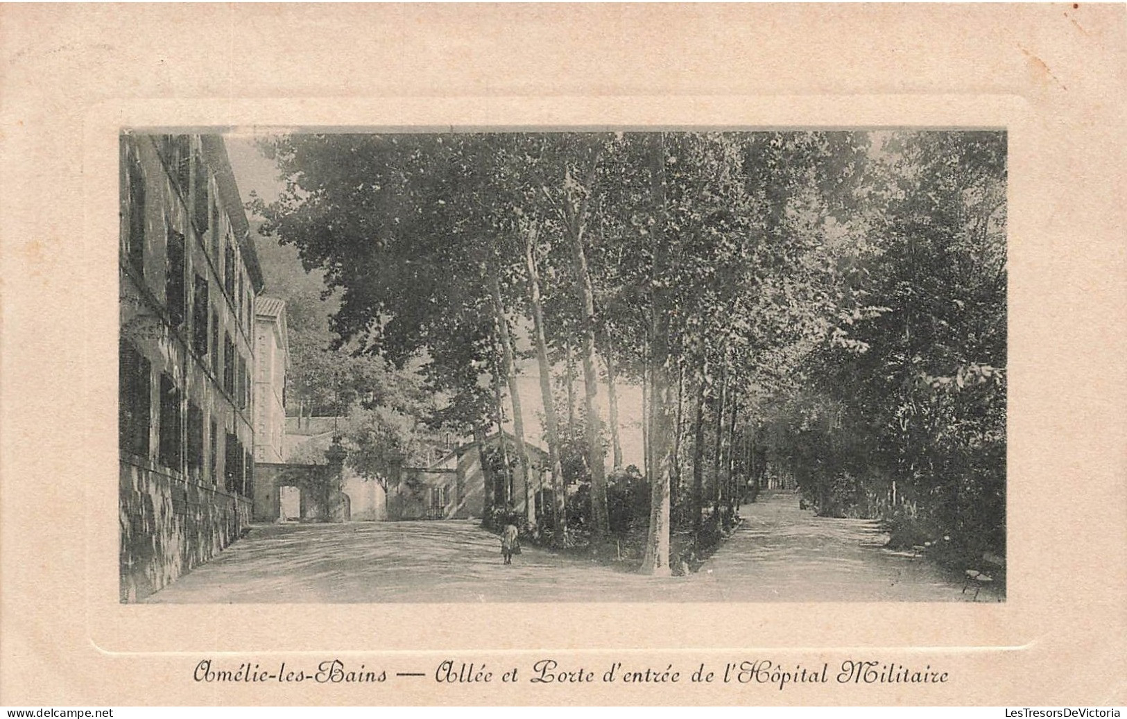FRANCE - Amélie Les Bains - Allée Et Porte D'entrée De L'Hôpital Militaire - Carte Postale Ancienne - Amélie-les-Bains-Palalda