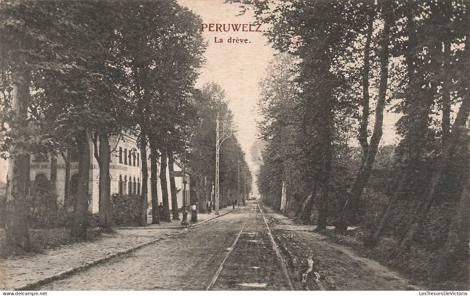 BELGIQUE - Péruwelz - La Drève - Rails - Carte Postale Ancienne - Peruwelz