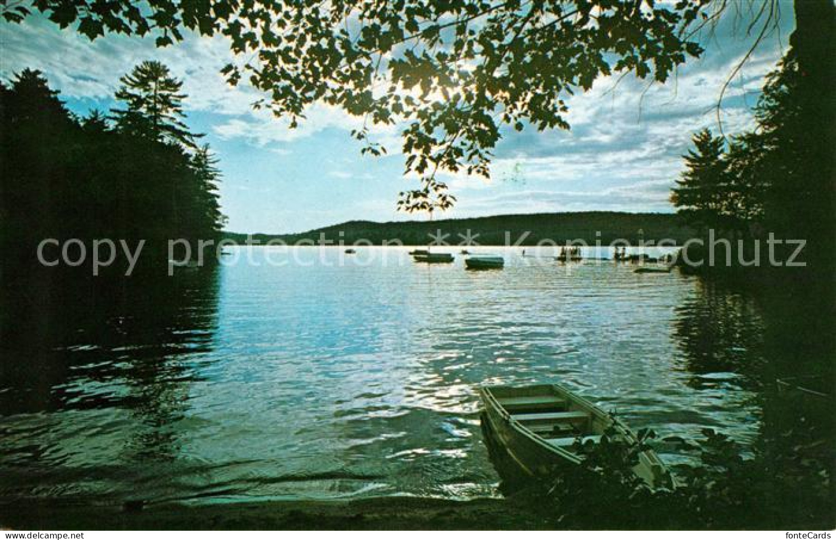 73061095 New_Hampshire_US-State Spofford Lake - Autres & Non Classés