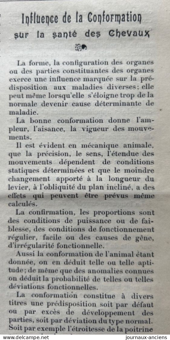 1901 Rare revue Hippique LA GAZETTE HIPPIQUE Sportive et Mondaine N° 9 - CHEVAUX DU MIDI - COURSES DE TARBES - GAILLON