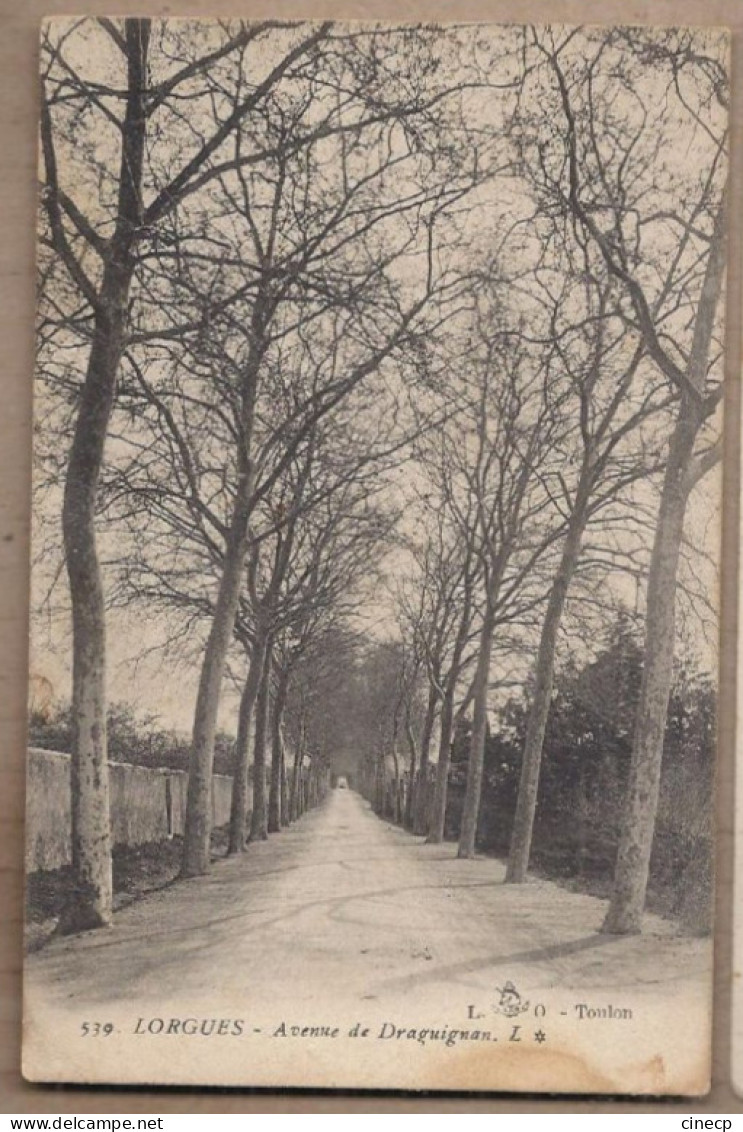 CPA 83 - LORGUES - Avenue De Draguignan - TB PLAN Route Sous Les Arbres - Allée De Platanes - Lorgues