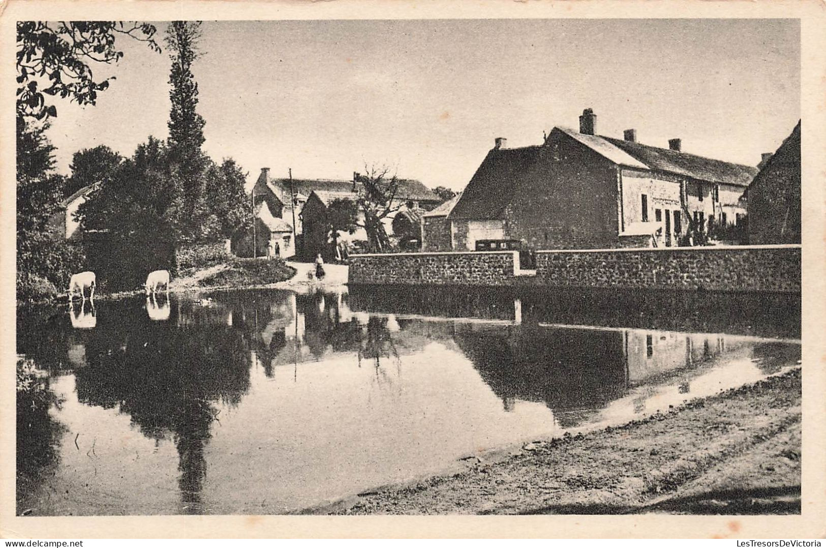 FRANCE - Crézancy - Le Briou - Carte Postale Ancienne - Autres & Non Classés