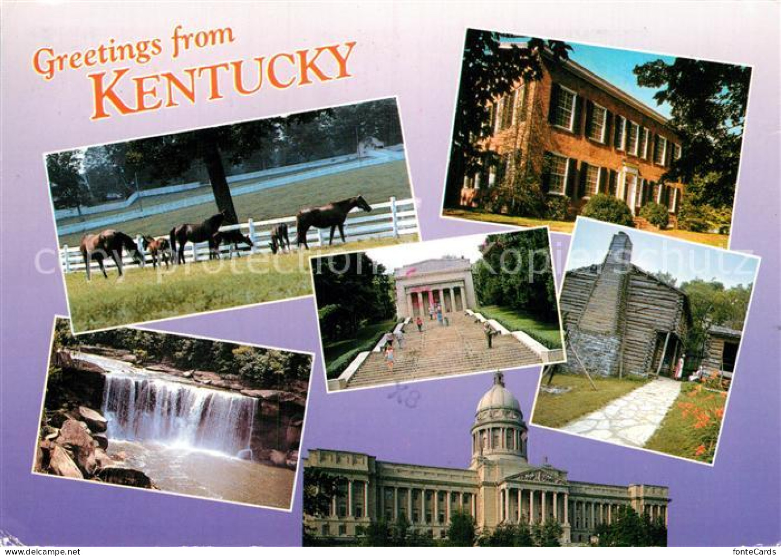 72929589 Kentucky_US-State Pferde Gebaeude Wasserfall - Autres & Non Classés