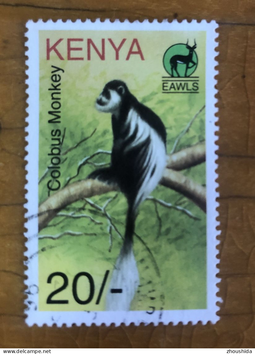 Kenya 1996 Monkey 20SH Fine Used - Kenia (1963-...)