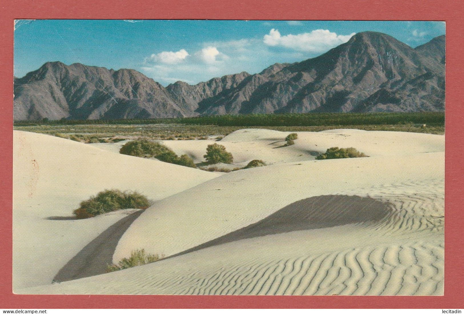 CP AMERIQUE ETATS UNIS COLORADO DESERT SAND DUNES 1 - Other & Unclassified