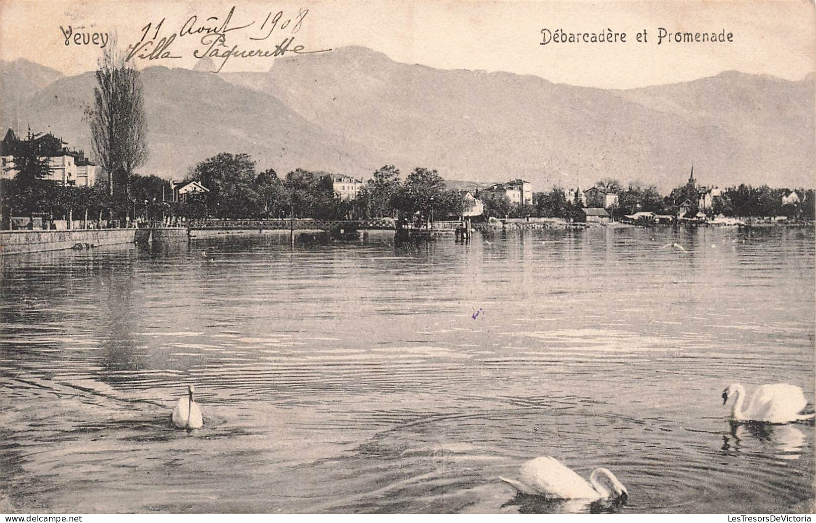 SUISSE - Vaud - Vevey - Débarcadère Et Promenade - Cygnes Sur Le Lac - Carte Postale Ancienne - Vevey