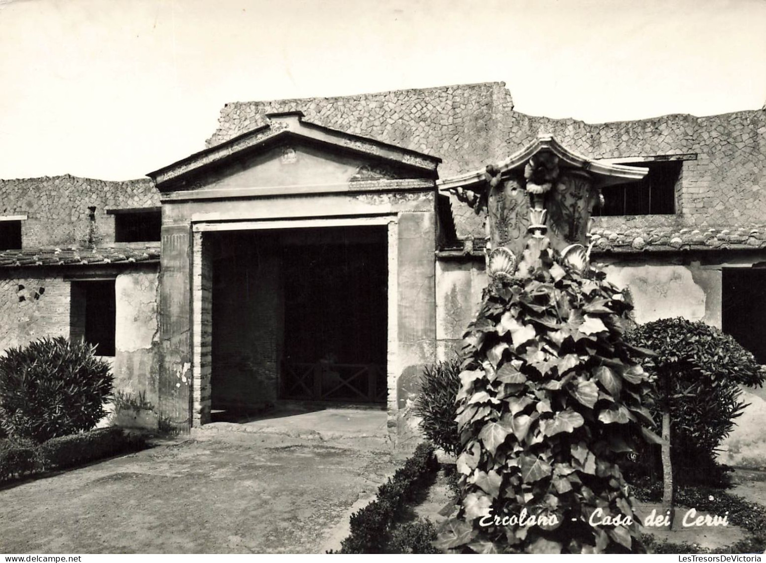 ITALIE - Ercolano - Maison Des Cerfs - Carte Postale Ancienne - Ercolano