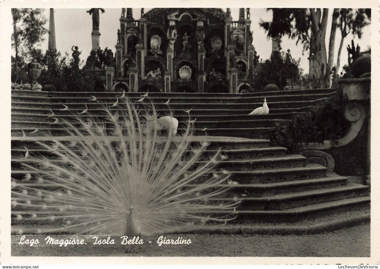 ITALIE - Lac Majeur - Île Bella - Jardin - Carte Postale Ancienne - Sonstige & Ohne Zuordnung