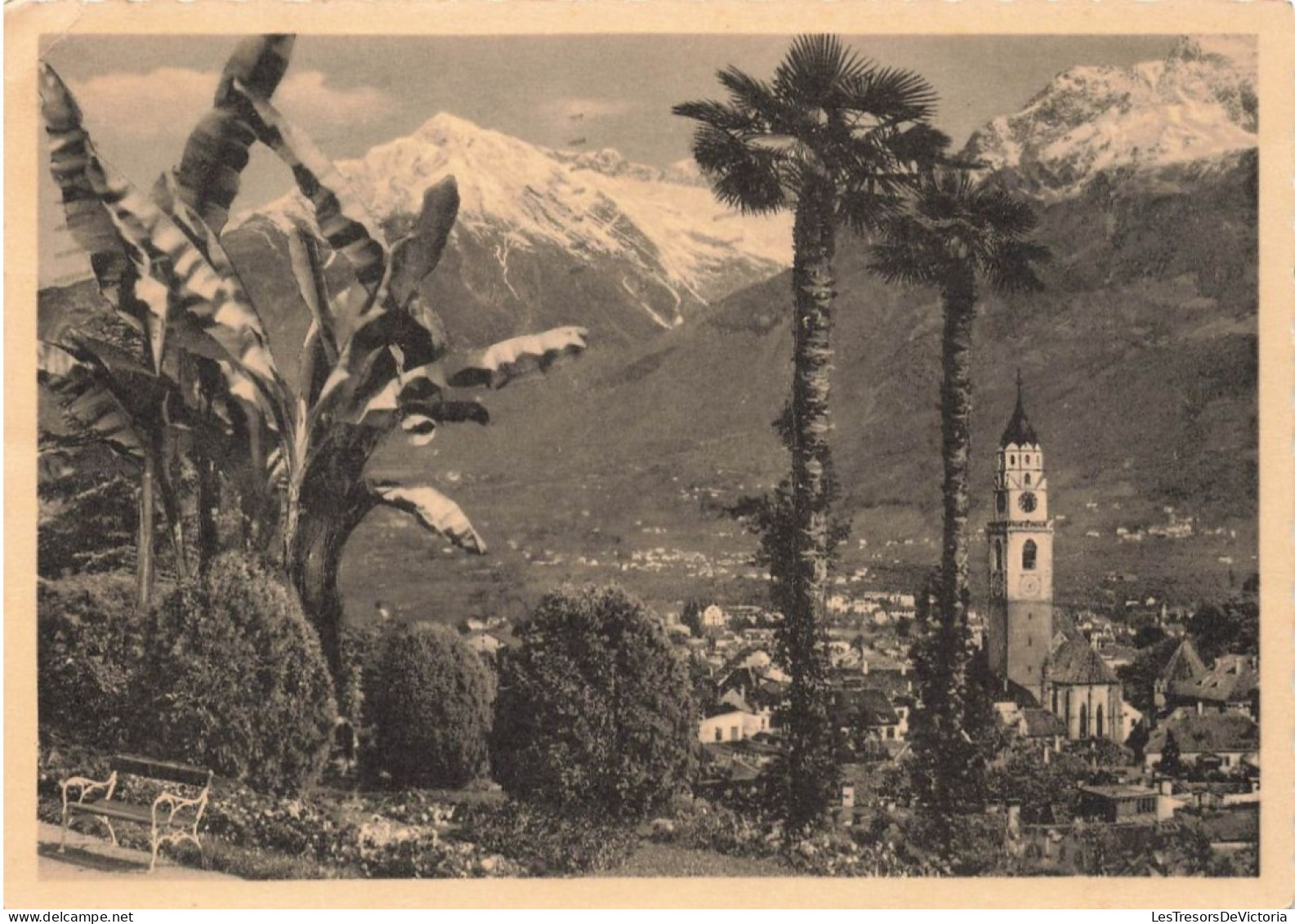 ITALIE - Mérano - Vue Générale - Carte Postale Ancienne - Merano