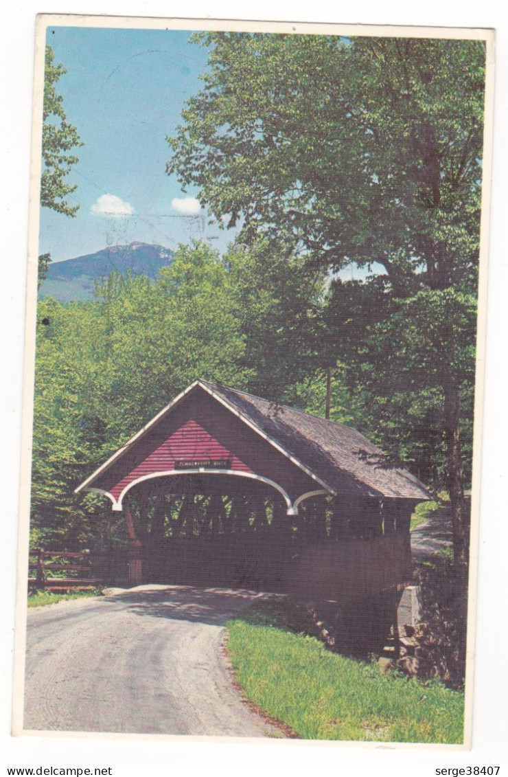 Flume Bridge And Mt Liberty - Franconia Notch - 1981 # 10-10/7 - Other & Unclassified