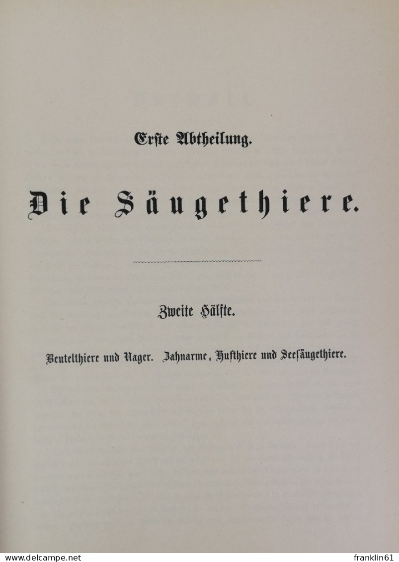 Illustrirtes Thierleben. Eine Allgemeine Kunde Des Thierreichs. Zweiter Band. - Léxicos