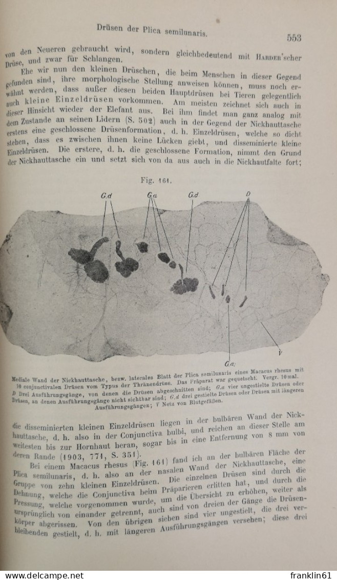 Handbuch der Augenheilkunde. Erster Band. Erste Abteilung.