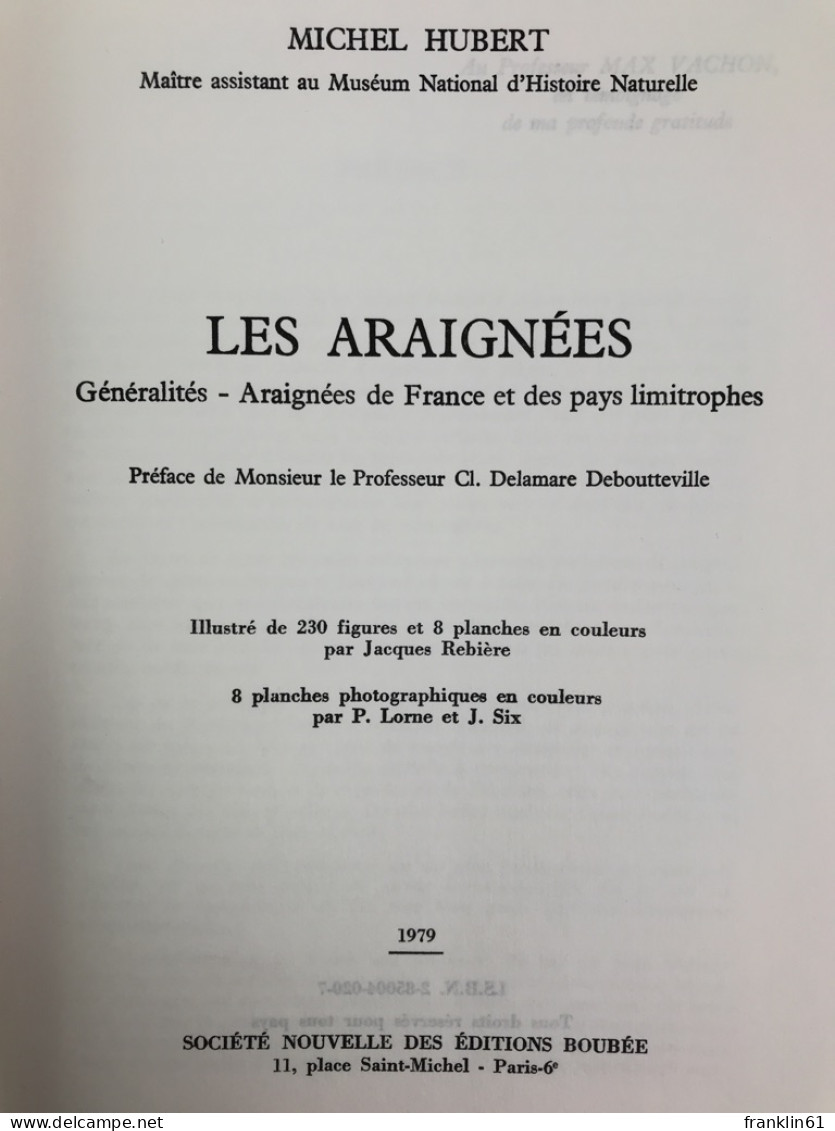 Les Araignées. - Tierwelt