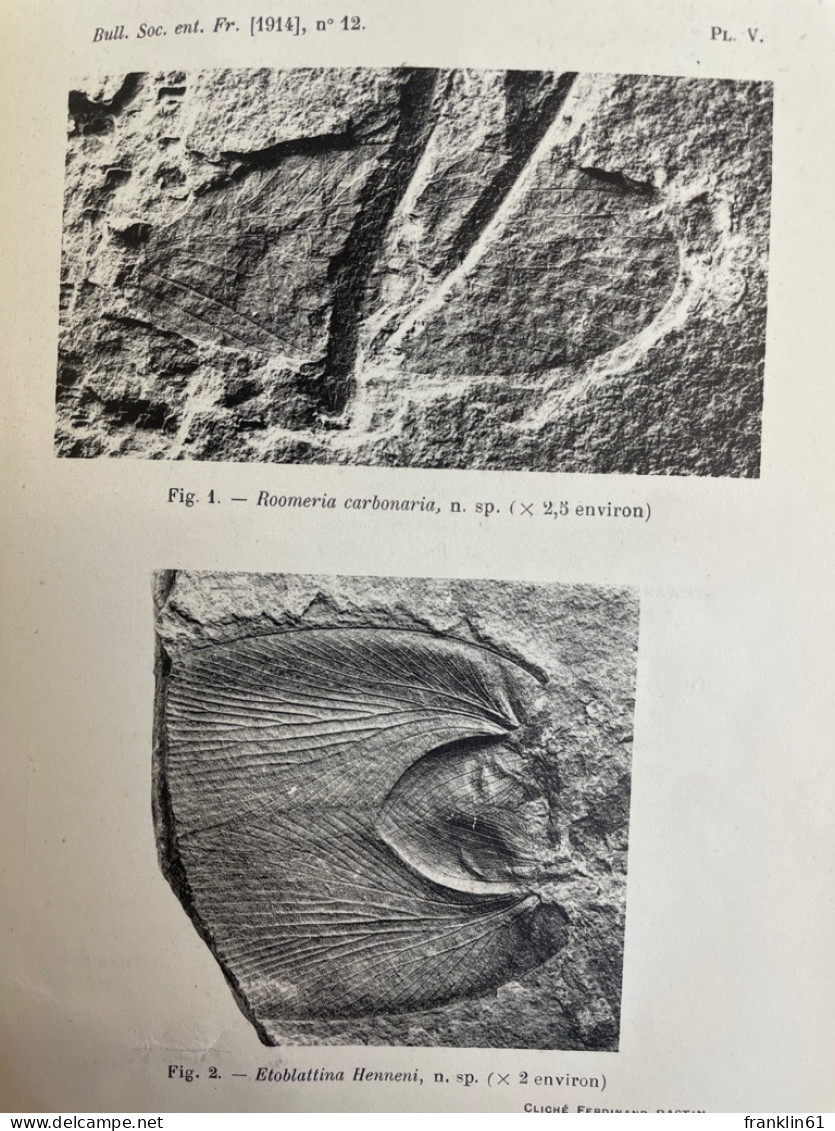 Bulletin De La Société Entomologique De France: 1914. KOMPLETT. - Nature