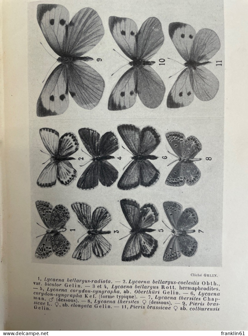 Bulletin de la Société Entomologique de France: 1914. KOMPLETT.