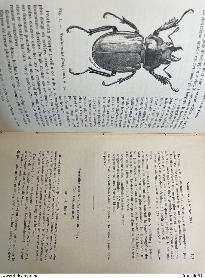 Bulletin de la Société Entomologique de France: 1914. KOMPLETT.