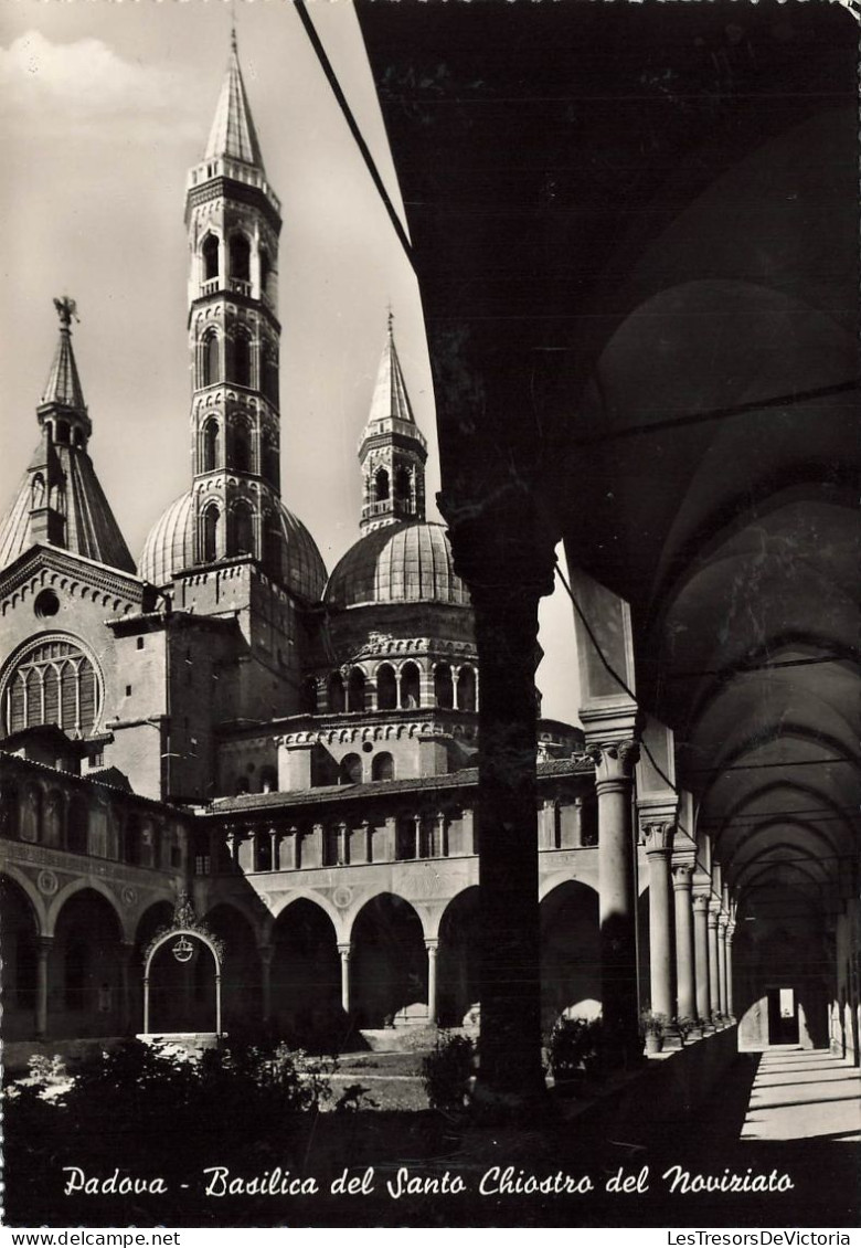 ITALIE - Padova - Basilique Du Saint Cloître Du Noviciat - Carte Postale Ancienne - Padova (Padua)