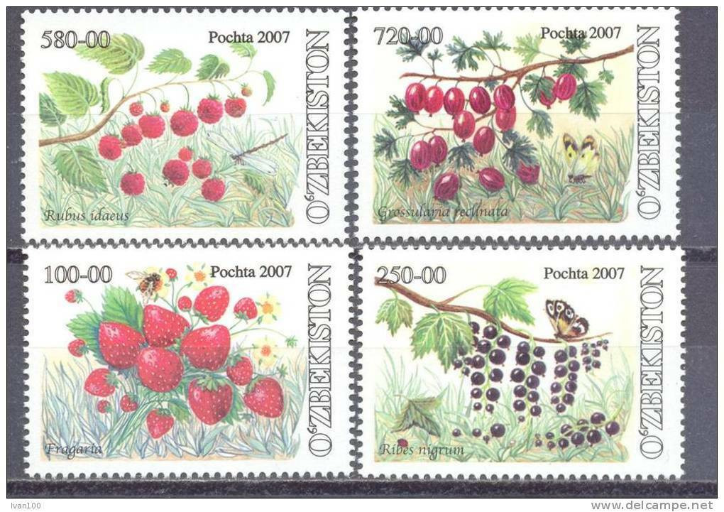 2007.Uzbekistan,  Wild Berries, 4v,   Mint/** - Uzbekistan