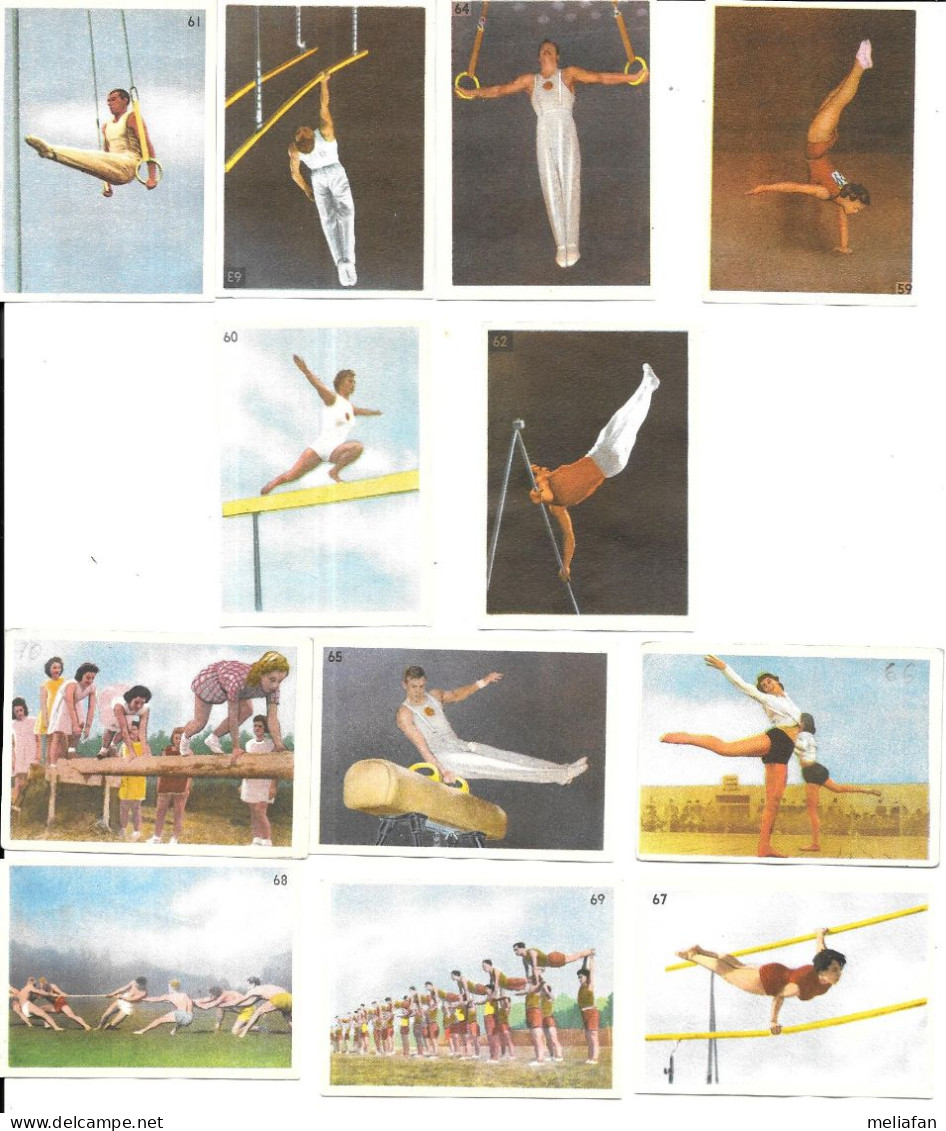 CZ28 - VIGNETTES MOTTE CORDONNIER - GYMNASTIQUE - Gymnastics