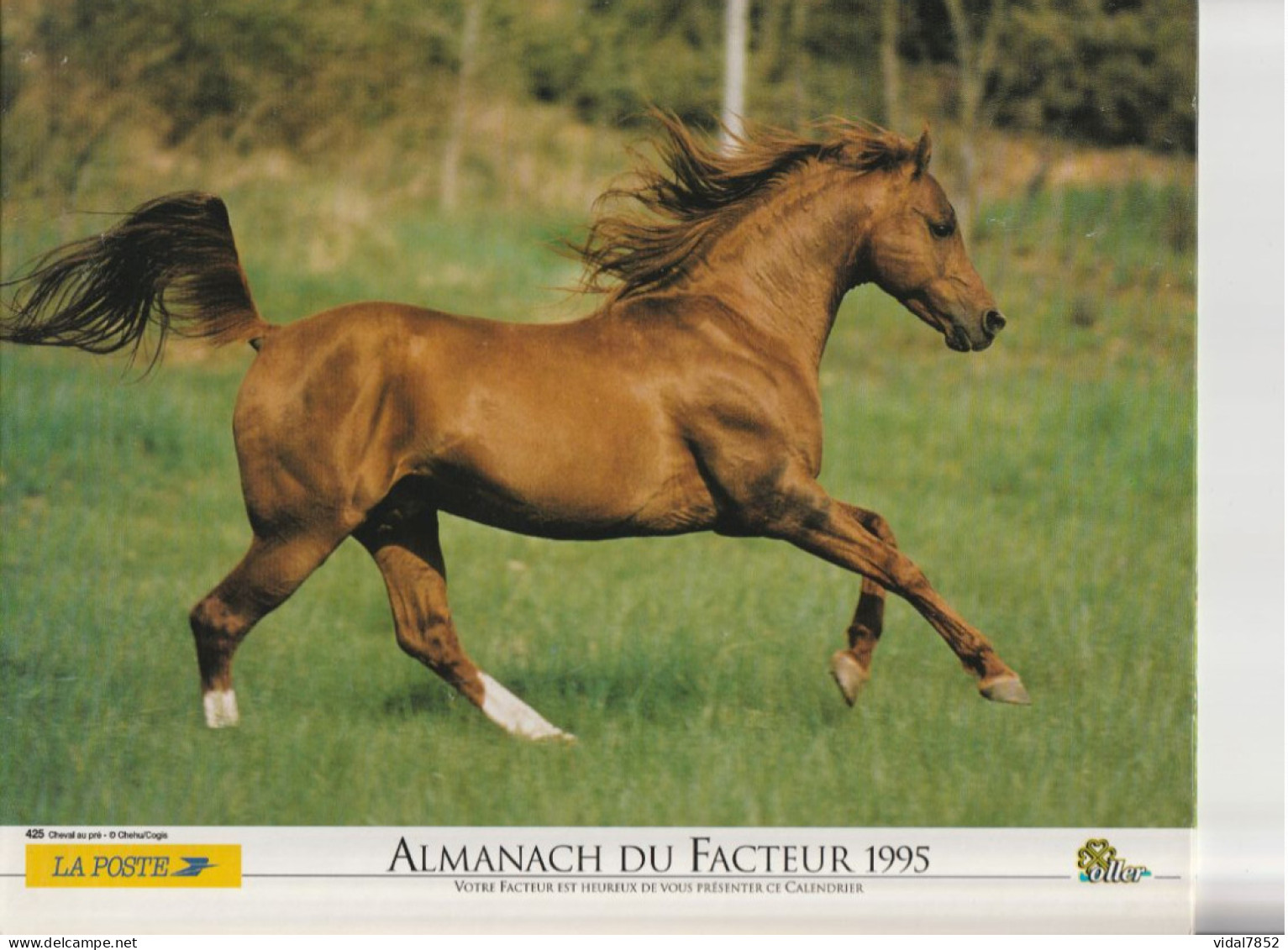 Calendrier-Almanach Des P.T.T 1995 -Cheval Au Pré-Berger Allemand-Département AIN-01-Référence 425 - Big : 1991-00