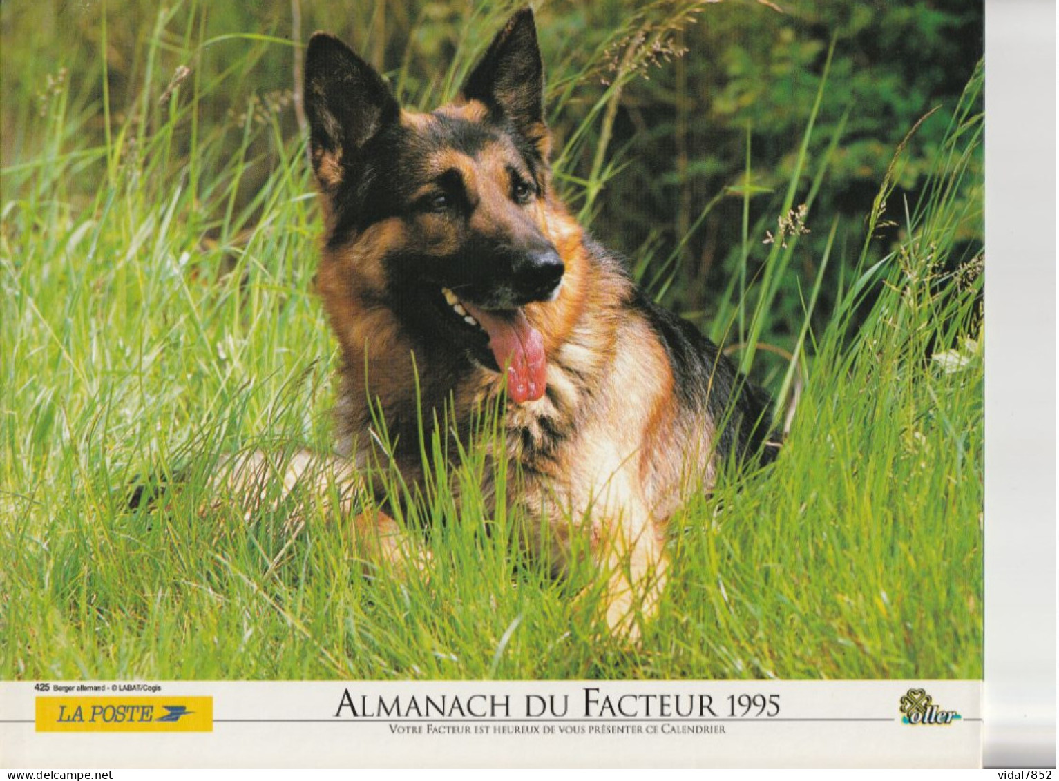 Calendrier-Almanach Des P.T.T 1995 -Cheval Au Pré-Berger Allemand-Département AIN-01-Référence 425 - Grand Format : 1991-00
